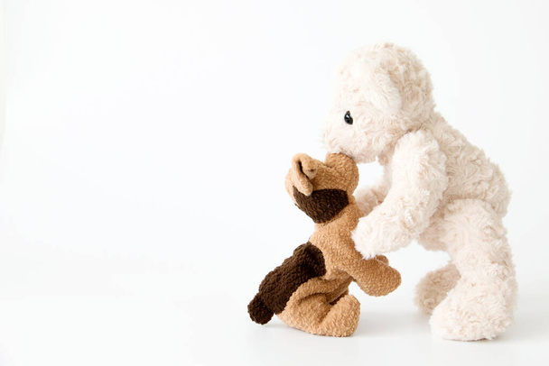 Boneca de casal no relacionamento, filhote de cachorro e ursinho de pelúcia é melhores amigos.Animal no amor no fundo branco
 - Foto, Imagem