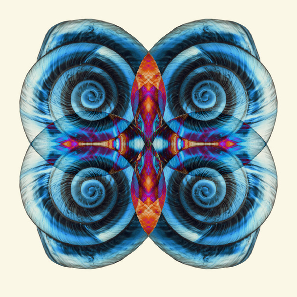 Abstrakti surrealistinen sininen etanankuorikuvio. Luova, geometrinen kuori kuvio - Valokuva, kuva