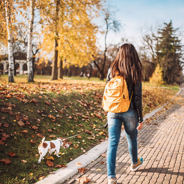 A girl in jeans and a jacket with a yellow backpack walks in the park in the autumn with his puppy Jack Russell Terrier - Fotoğraf, Görsel