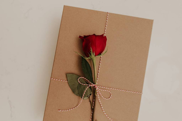 The Valentine's day card with a red rose - Foto, immagini