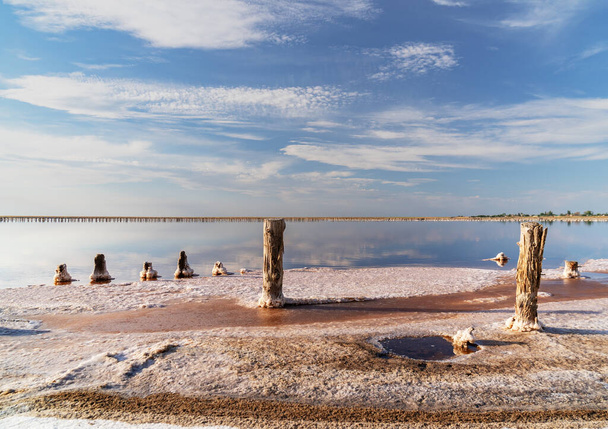 закат на розовом соленом озере, бывшем руднике для добычи розовой соли. ряд деревянных колышек, заросших солью
. - Фото, изображение