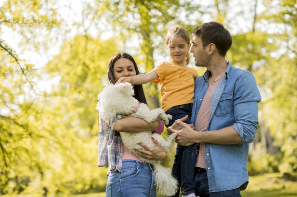 Счастливая молодая семья с симпатичной собакой бихон в парке - Фото, изображение