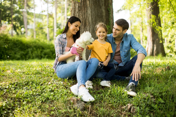 Happy young family with cute bichon dog in the park - Фото, зображення