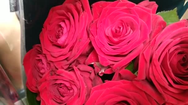 Κοντινό πλάνο στα μπουμπούκια ενός μικρού μπουκέτο κόκκινα τριαντάφυλλα - Πλάνα, βίντεο