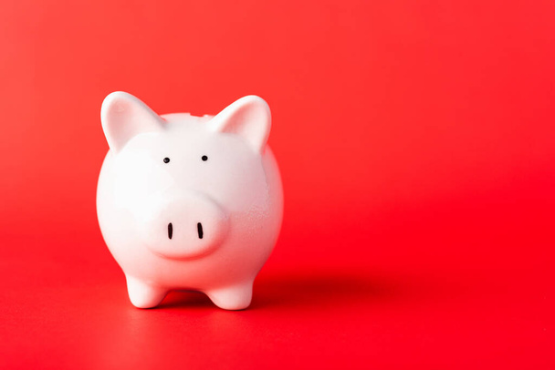 Front small white fat piggy bank, studio shot isolated on red background and copy space for use, Finance, deposit saving money concept - Photo, Image