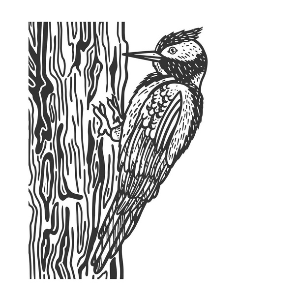 Woodpecker bird sketch engraving vector illustration. T-shirt apparel print design. Scratch board imitation. Black and white hand drawn image. - Vettoriali, immagini