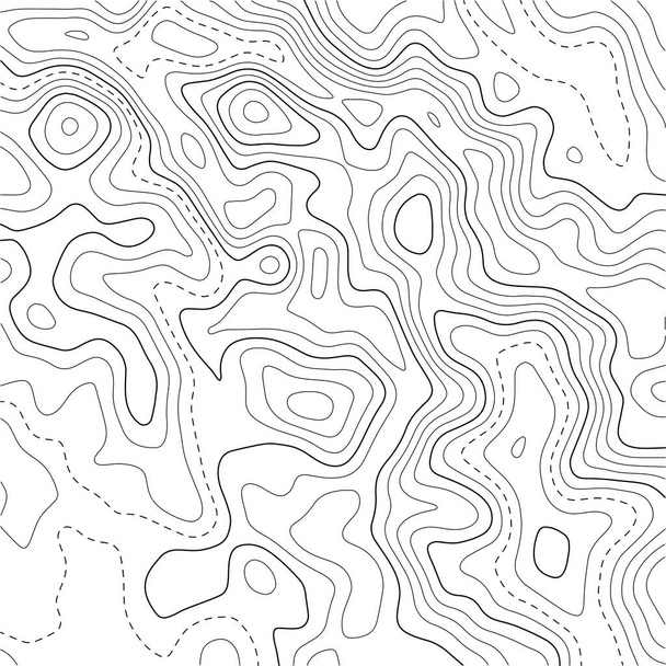 Topografinen kartta tausta. Verkkokartta. Abstrakti vektorikuva. 3d - Vektori, kuva