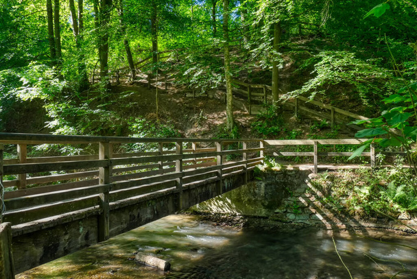Мост через ручей в долине Неандерталя в Германии
 - Фото, изображение