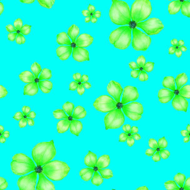 Beautiful seamless pattern with stylized flowers. Botanical summer  print. Hand drawn with colored pencils. - Foto, imagen