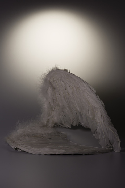 Angel's vleugels op witte achtergrond met gloed - Foto, afbeelding