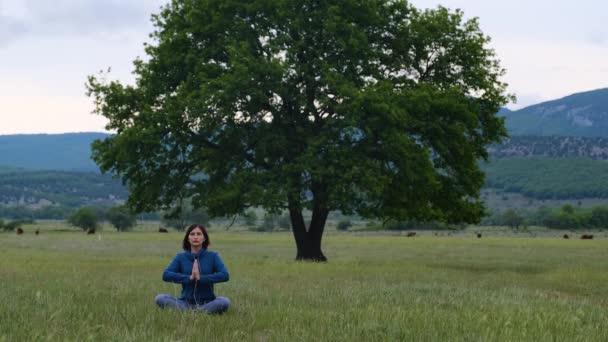 Piękna wolna i dzika kobieta siedząca w pozycji medytacji na polu w pobliżu drzewa w pozycji lotosu równowaga jogi asana, energia kundalini, codzienna rutyna, praktyka dobra dla zdrowia kobiety uważność - Materiał filmowy, wideo