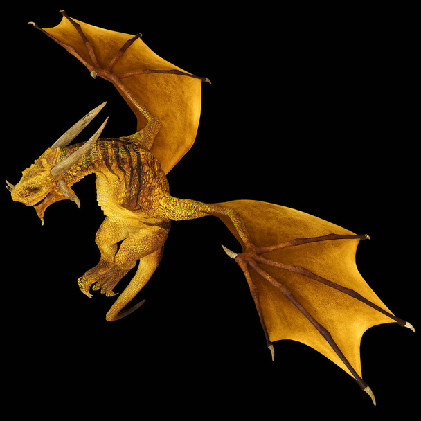 3Dレンダリングされた黄金のワイバーン-黒の背景に隔離された二足歩行のドラゴン- 3Dイラスト - 写真・画像