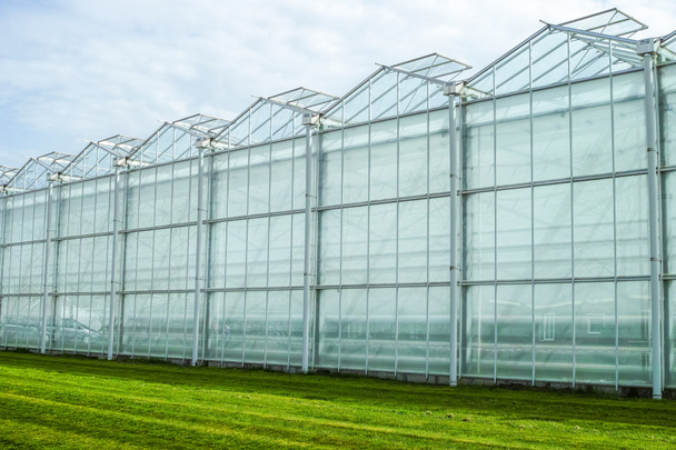 Nový prázdný velký skleník, výhled ven s modrou oblohou - Fotografie, Obrázek