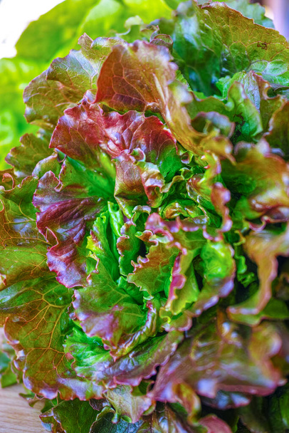 Legume de folha de alface verde orgânico fresco pronto para comer em salada, conceito de comida saudável
 - Foto, Imagem