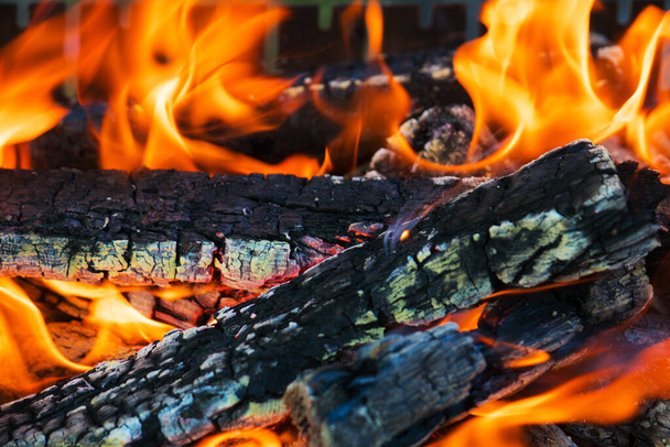 Fascinating bonfire, with glowing wood and wriggling flames. The texture of the burning tree. Bonfire on the nature for cooking. - Photo, Image