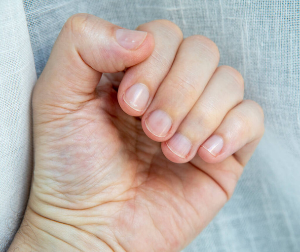 Darstellung der Nägel nach der Maniküre mit natürlichem Lichthintergrund - Foto, Bild