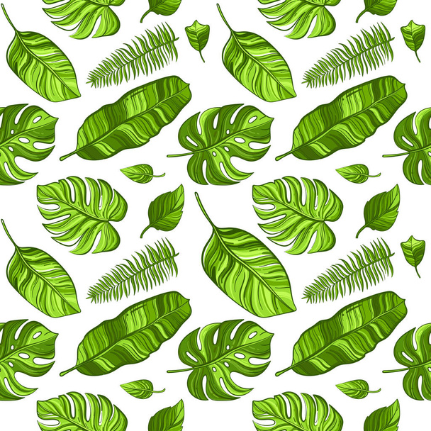 Patrón sin costura vector tropical con hojas de palma exóticas sobre fondo blanco
 . - Vector, imagen