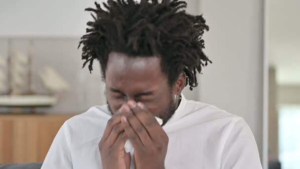 Portrait of Sick African Man Sneezing  - Video