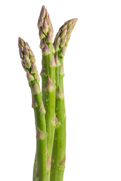 Close up of asparagus stalks on white background, space fo text - Photo, image