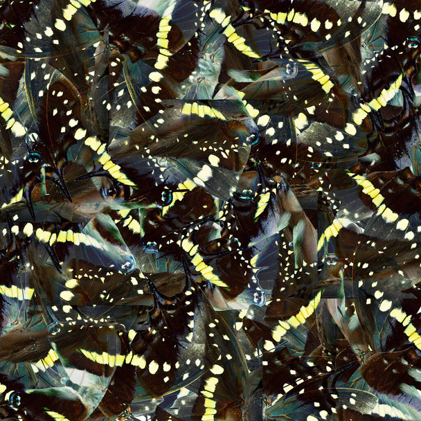 bela mistura de fundo de listras amarelas pontos brancos padrões marrons e manchas azuis em textura fascinada
 - Foto, Imagem