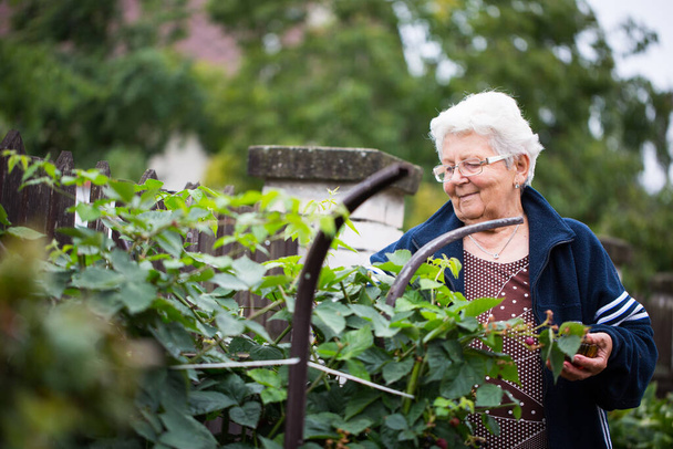 Seniorin gärtnert in ihrem riesigen Garten, kümmert sich um ihre Pflanzen, Gartenkonzept - Foto, Bild