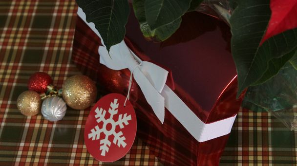 Red Christmas Box - Photo, Image