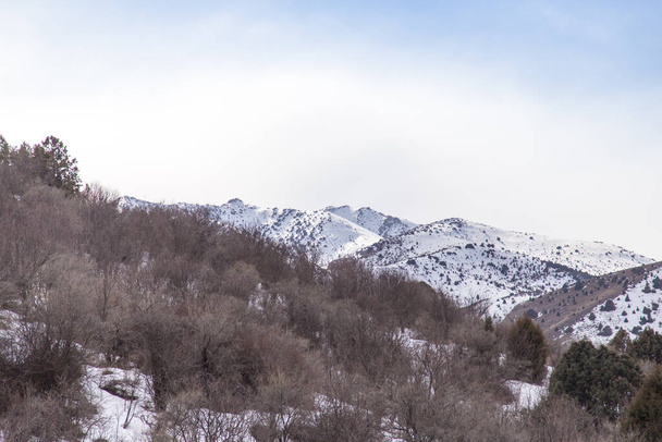 Nature in the Tien Shan mountains in winter. Kazakhstan . - Fotó, kép