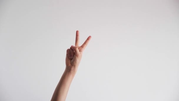 Tellen op vingers concept. Close-up weergave van kid hand met tonen 1, 2, 3, 4, 5 vingers omhoog over witte muur achtergrond - Video