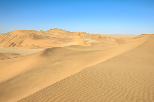 Великі піщані дюни панорами. Пустеля і прибережні піщані пейзажі. Абстрактне тло. - Фото, зображення