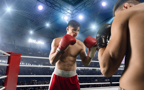 Two boxers are fighting on professional boxing ring. - Photo, Image
