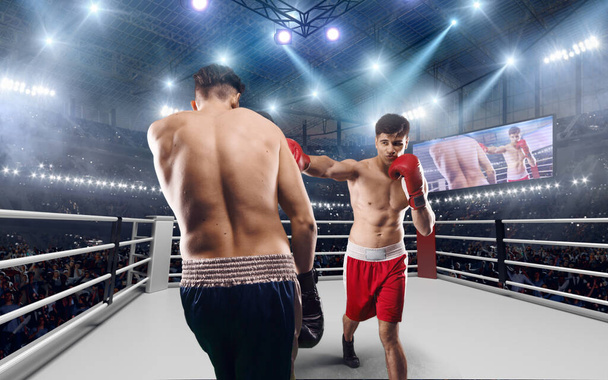 Dwóch bokserów walczy na profesjonalnym ringu.. - Zdjęcie, obraz