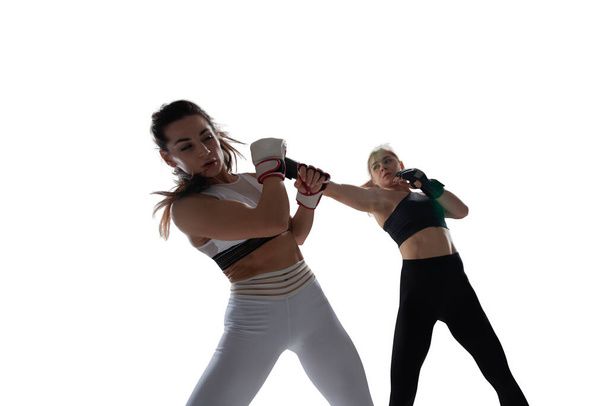 MMA vrouwelijke vechters geïsoleerd op wit. - Foto, afbeelding