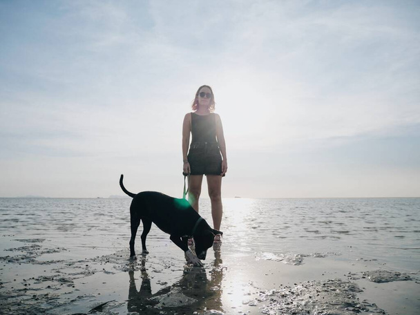 Caucasian girl with a dog standing in water at seacoast in sunshine. - Photo, Image