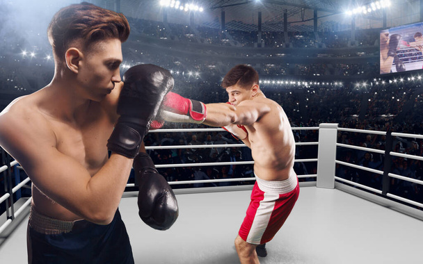 Dos boxeadores están peleando en un ring de boxeo profesional
. - Foto, imagen