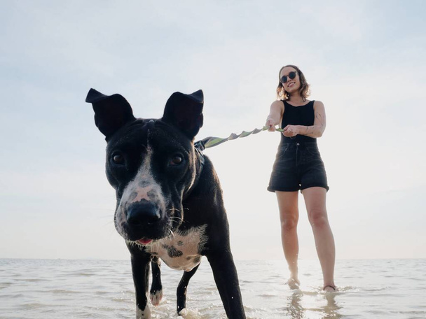 Heureuse fille caucasienne avec chien drôle marchant sur le rivage de mer peu profonde au soleil
. - Photo, image