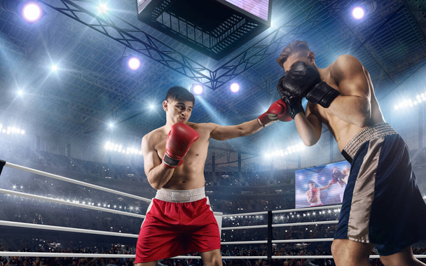 Dva boxeři bojují na profesionálním boxerském ringu. - Fotografie, Obrázek
