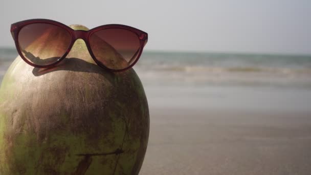 Kokosový ořech ve slunečních brýlích na písečné pláži. Koncept tropické dovolené - Záběry, video