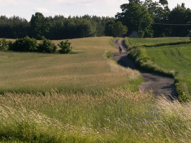 Paysage rural, nature typiquement polonaise. Champs, prairies heure d "été. - Photo, image