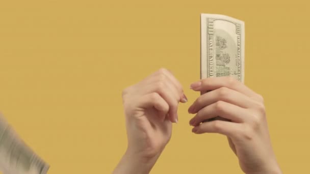 hand gestures money wasting throwing away dollars - Video, Çekim