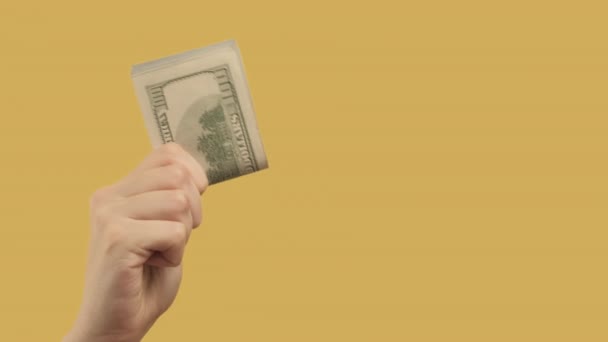 investment income hand dollars set 2 money gesture - Felvétel, videó