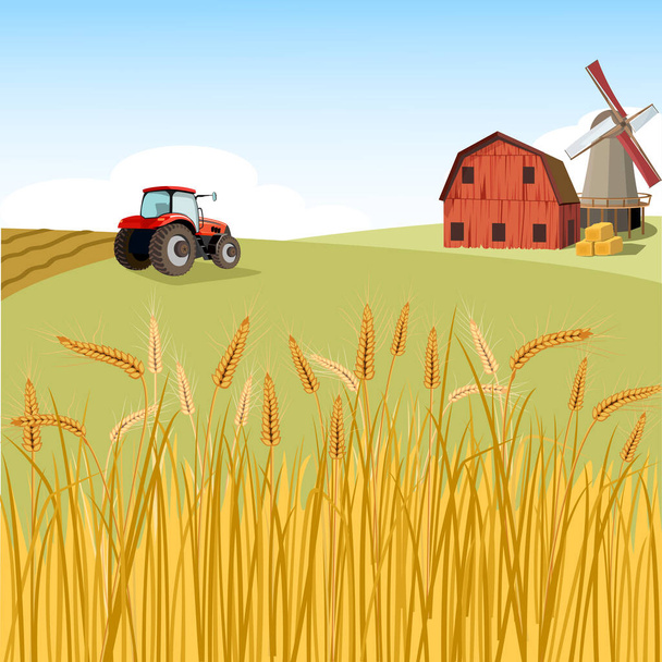 Kylä vehnäpellolla ja traktorin - Vektori, kuva