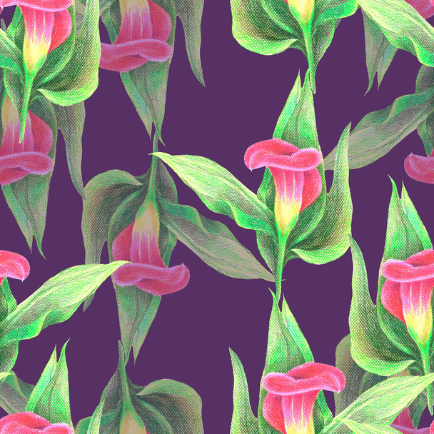 Calla lelie bloemen tekening in kleur potloden op violette achtergrond. Bloemen naadloos patroon voor stof. - Foto, afbeelding
