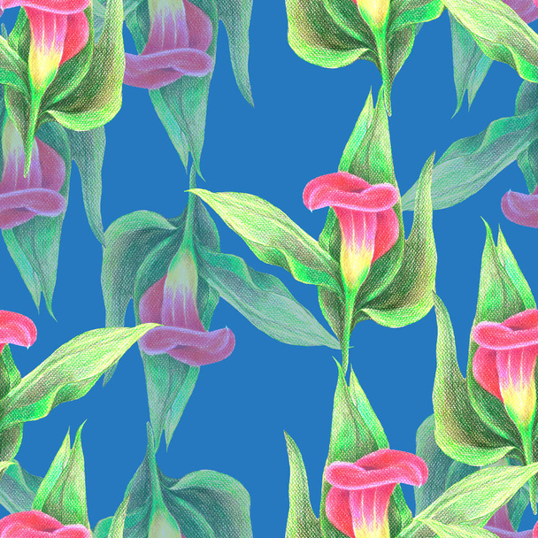 Calla lily flowers drawing in color pencils on blue background. Floral seamless pattern for fabric. - Photo, Image