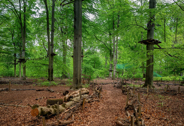 Lezecký ráj v lanovém hřišti v berlínském parku Jungfernheide v Charlottenburgu - Fotografie, Obrázek