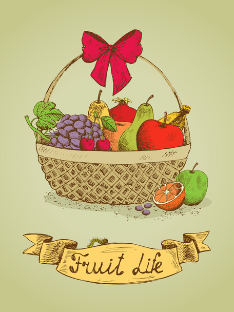 Fruit life gift basket with bow emblem - Vector, Image