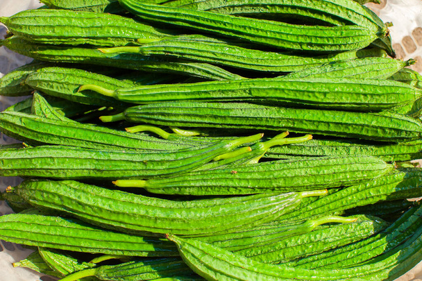 Fresh green loofah on sunshade - Photo, Image