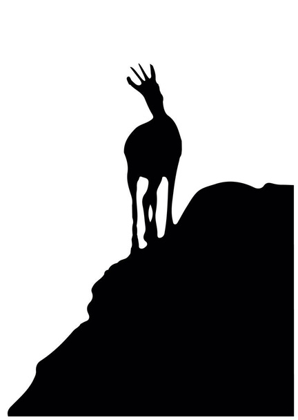Black silhouette of chamois standing on the top of the hill. Isolated on white background. Vector illustration. - Vector, Image