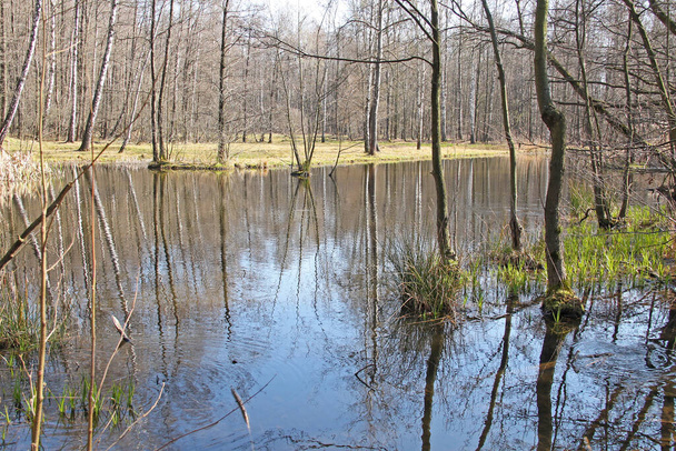 Lago Kamenec all'inizio della primavera, Dobra, Repubblica Ceca - Foto, immagini