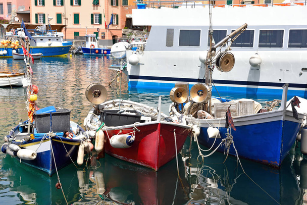 Camogli, Liguria, İtalya marinasında balıkçı tekneleri - Fotoğraf, Görsel