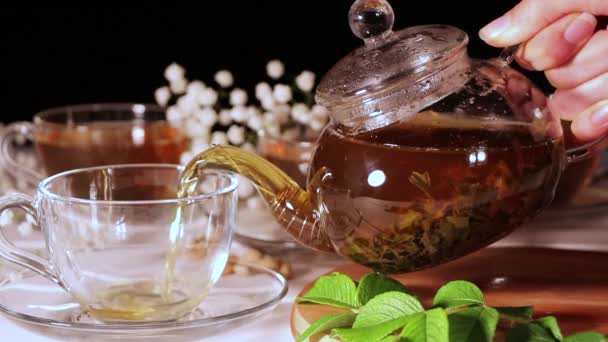 Šálek zeleného čaje a konvici. Květinový čaj s plátky ovoce. Čajový obřad, tradiční pití. Odpolední čaj, jako doma. Ležel. Orientální, útulné, příprava, teplo, tradice, japonky, listy, bylinné - Záběry, video